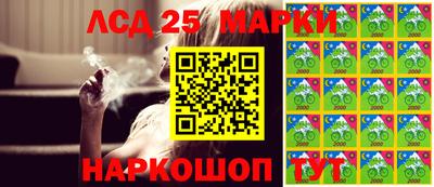 гашик Кулебаки
