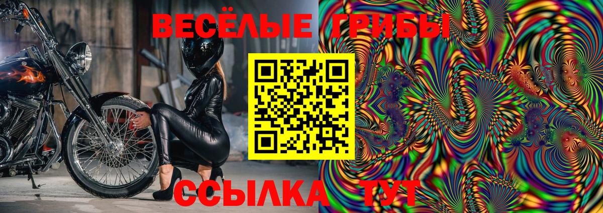 Псилоцибиновые грибы MAGIC MUSHROOMS Елабуга